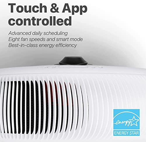 IQAir Air Purifier for Large Room [Home, Kitchen, Living Room, Bedroom, Office] Atem X HyperHEPA Filters [Viruses, Bacteria, Allergens, Asthma Triggers, Smoke, Mold, Pets, Dust, Odor] Made in Germany