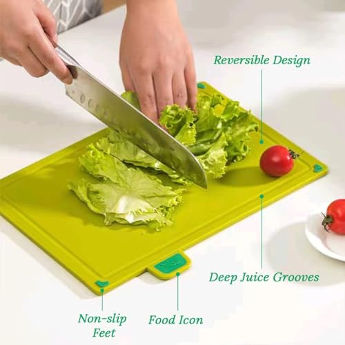 Bolivia's Kitchen Chopping Board, 4 Pcs Plastic Cutting Boards for Kitchen, Dishwasher Safe Cutting Board Set with Holder, Cutting Boards for Kitchen Different Food Types, Color Coded