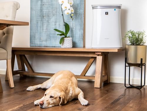 SHARP Air Purifier with Plasmacluster Ion Technology for Medium-Sized Rooms, Bedroom, or Office. Odor and True HEPA Filter for Dust, Smoke, Pollen, & Pet Dander may last up-to 2 years each. FPK50UW.