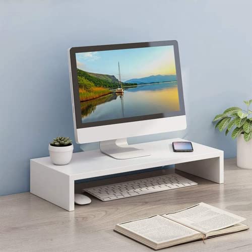 ikeoat Monitor Stand Riser, Desk Organizer for Laptop Computer