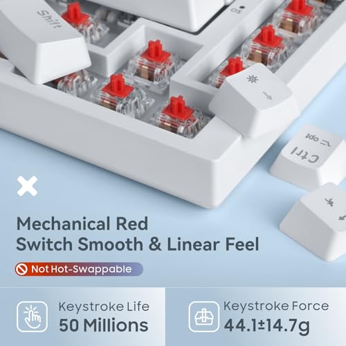 Baytion Mechanical Gaming Keyboard, 82 Keys 75% Compact Gaming Keyboard with Rainbow LED Backlit Wired Anti-Ghosting Mechanical Keyboard with Knob for Windows and Mac, White(Red Switchesï¼