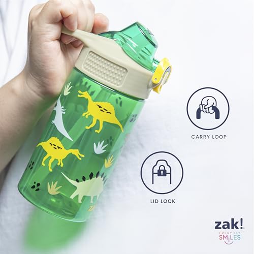 Zak Designs Sonic the Hedgehog Sage Kids Water Bottle For School or Travel, 16oz Durable Plastic Water Bottle With Straw, Handle, and Leak-Proof, Pop-Up Spout Cover, 2-Pack Set (Sonic & Shadow)