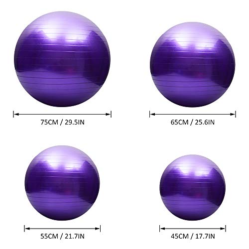 Explopur Exercise Ball Anti Burst(Multiple Sizes) For Fitness - Stability, Balance & Yoga - Workout Guide & Pilates Barre Physical Fitness Exercise Ball-Pink