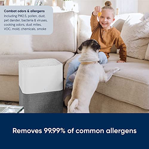 Blueair Air Purifier-Blue 3610 Cleans Upto 2640sqft, 600m³/h CADR, Air Quality Indicator, HEPASilent Technology Removes 99.97% Pollen, Dust, Mould, Bacteria, Viruses, VOCs, Odours, 1+1 Years Warranty.