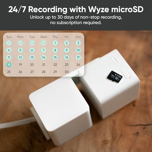 WYZE Cam Pan v3 Indoor/Outdoor IP65-Rated 1080p Pan/Tilt/Zoom Wi-Fi Smart Home Security Camera with Color Night Vision, 2-Way Audio, Compatible with Alexa & Google Assistant, Black, 2-Pack
