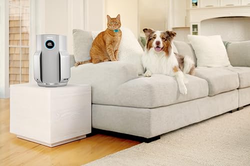 Shark NeverChange Up to 5 Years Air Purifier for Home, Bedroom, Space Coverage 60m2, 5-Year HEPA Filter Catches 99.97% of Allergens, Pollen, Pet Chips, Silent LED Display, White HP150EU