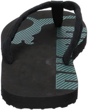 PUMA Epic Flip V2 Flip Flops mens Sandals & Flip Flops