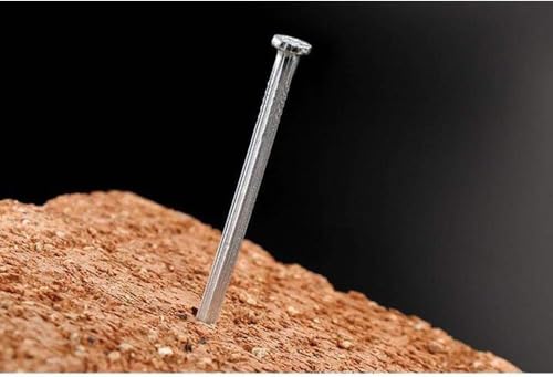 Poaker Common Wire Round Head Nails â€“ Essential Hardware For Carpentry, Electrical, Picture Hanging, Wall Mounting, And Woodworking (2 INCH (200 GRAM))