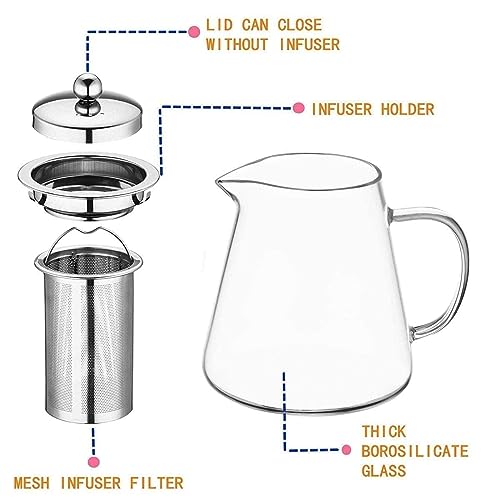 OBOR Glass Teapot Stovetop Safe - Tea Kettle with Removable Food Grade Stainless Steel Infuser & Lid for Blooming and Loose Leaf Tea Maker - 32oz/950ml