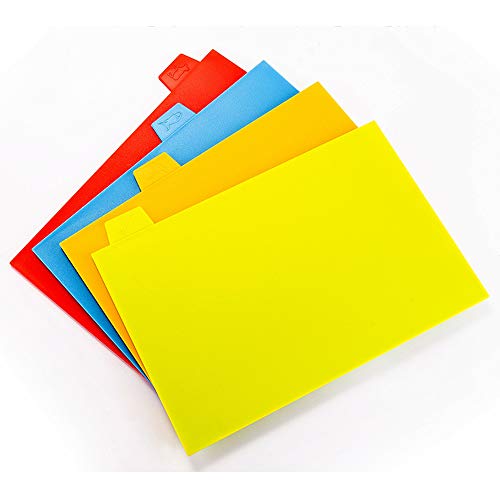 BonShine Cutting Board Set of 4, Plastic Non-slip Chopping Board with Stand, Color Coded Durable Boards with Icons for Food Safety in Space Saving Storage Case