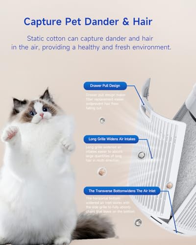 BOMIDI Pet Air Purifier for Hair, Odor & Dander Removal, H13 HEPA Filter, 450m³/h High Airflow, WiFi APP Control, 4 Timer Settings, Pet-Safe Design for Home 87㎡