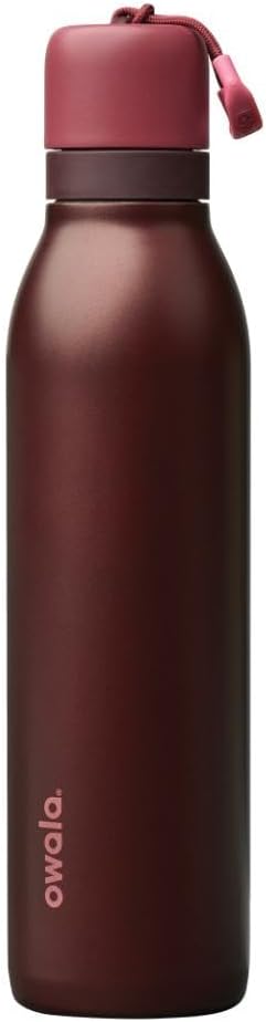 FreeSip Twist Insulated Stainless Steel Water Bottle with Straw for Sports and Travel, BPA-Free, 18-oz, Purple (California Grapevine) - Black Cherry 24 Ounces