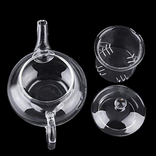 B.L.A. Transparent Teapot Heat Resistant Glass Teapot With Infuser Coffee Flower Tea Leaf Herbal Pot 250ml Durable