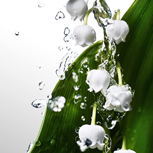 Davidoff Perfume - Cool Water by Davidoff - perfume for women - Eau de Toilette