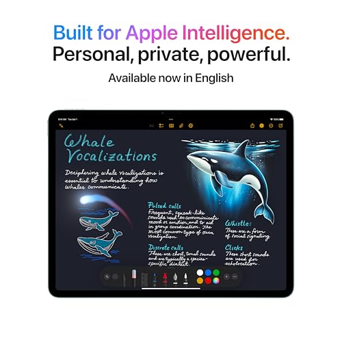 Apple iPad Air 13-inch with M3 chip Built for Apple Intelligence, Liquid Retina Display, 256GB, 12MP Front/Back Camera, Wi-Fi 6E, Touch ID, All-Day Battery Life �?? Space Gray