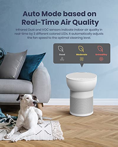 TCL Breeva A2 Smart Air Purifier with 4-Stage Clean, True HEPA (H13), Removes 99.97% of Dust/Bacteria/Odors & More, Quiet, White