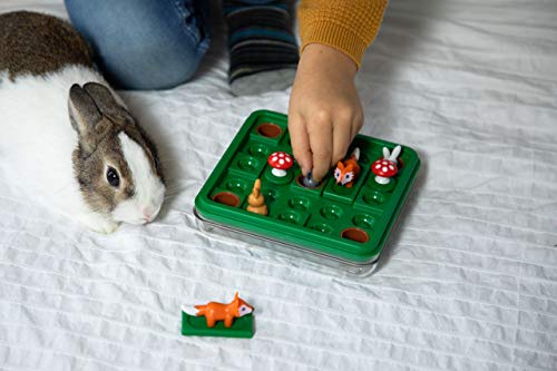 Smart Games - Jump In', Puzzle Game with 60 Challenges, 7+ Years, 24 x 17 x 4.5 cm (LxWxH)