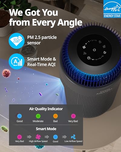 COWAY Air Purifier for Bedroom Home Up to 810 Ft, True HEPA Filter for Smoke, Allergies, Pet Dander Oder, AQI, Auto & Sleep Mode, Timer, Filter Indicator, Night Light, 3yr Warranty, Airmega 100, BLACK