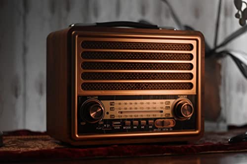 classic vintage speaker with Bluetooth for indoor and portable for outdoor, classic style Radio AM/FM/SW, USB and TF/SD Card (small vintage speaker)