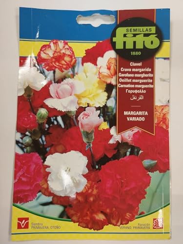 SEMILLAS FITO CARNATION MARGUERITE -