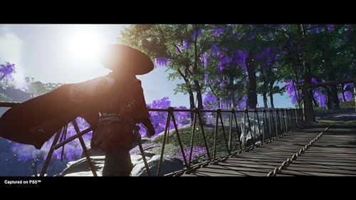 Ghost Of Tsushima Director's Cut (PS5)