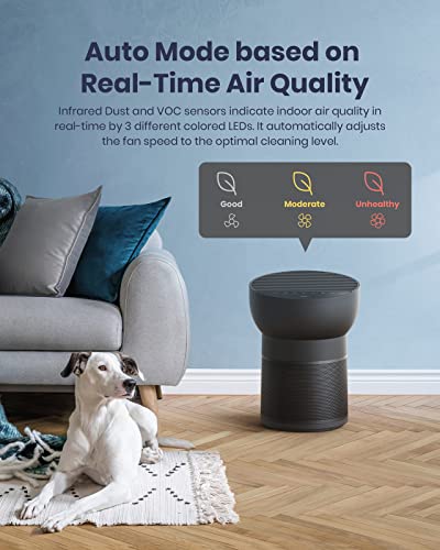 TCL Breeva A2 Smart Air Purifier with 4-Stage Clean, True HEPA (H13), Removes 99.97% of Dust/Bacteria/Odors & More, Quiet, Black, Breeva A2BK