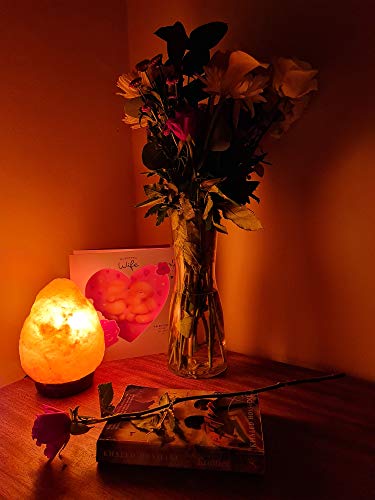 Needs&Gifts 2-3 KG Prime Quality 100% Original Himalayan Crystal Rock Salt Lamp Natural from foothills of the Himalayas Beautifully Hand Craft Comes with Complete Electric fitting Guaranteed