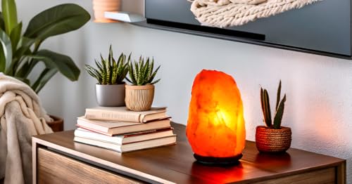 Needs&Gifts 2-3 KG Prime Quality 100% Original Himalayan Crystal Rock Salt Lamp Natural from foothills of the Himalayas Beautifully Hand Craft Comes with Complete Electric fitting Guaranteed