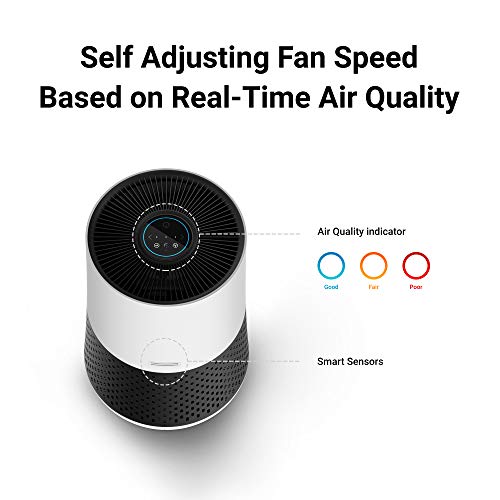 WINIX A231 Air Purifier for Bedroom Up to 1110 Ft² in 1 Hr With Air Quality Monitor, True HEPA, Carbon Filter and Auto Mode, Captures Pet Allergies, Smoke, Dust