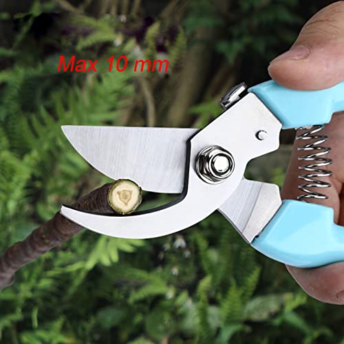SPDTECH Curve Gardening Scissor with Sharp Stainless Steel Blade Garden Shears for Cutting Flowers Trimming Plants of Yard Florist Flower Rose Herb Hedge Bonsai and Fruits Picking (Black Handle)