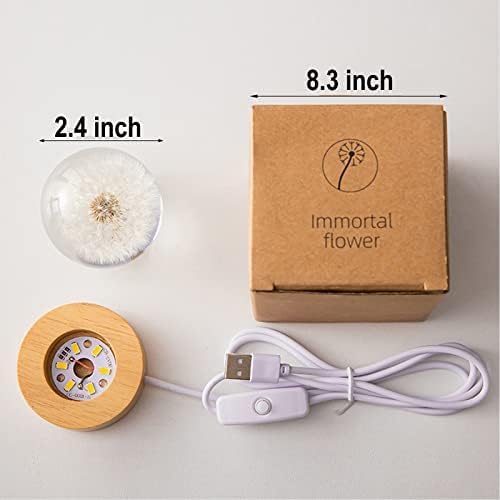 MARZIUS Flower Crystal Ball Night Light,2.4 inch Glass Ball Night Lamp with Woodern Base,Decorations Gifts for Men,Women,Kids,Boys,Girls,Teens (Red Daisy)