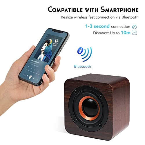 KASTWAVE Bluetooth Speaker Portable, Outdoor Bluetooth Speaker for Smartphone Tablet Laptop Office Beach Camping Travel
