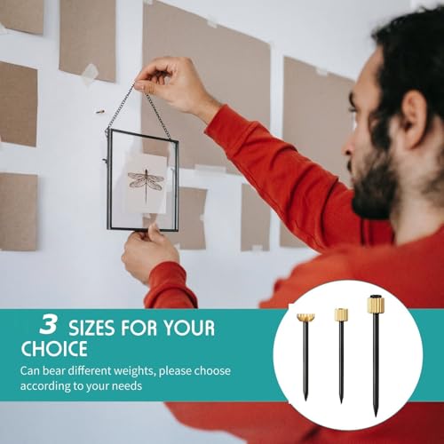 TERRIFI Picture Hanging Nails, Black Steel Nails with Brass Head, 75-Piece Set of Small, Medium, and Large Picture Frame Hangers, Supports 5-30 lbs, Ideal for Home Hardware Use