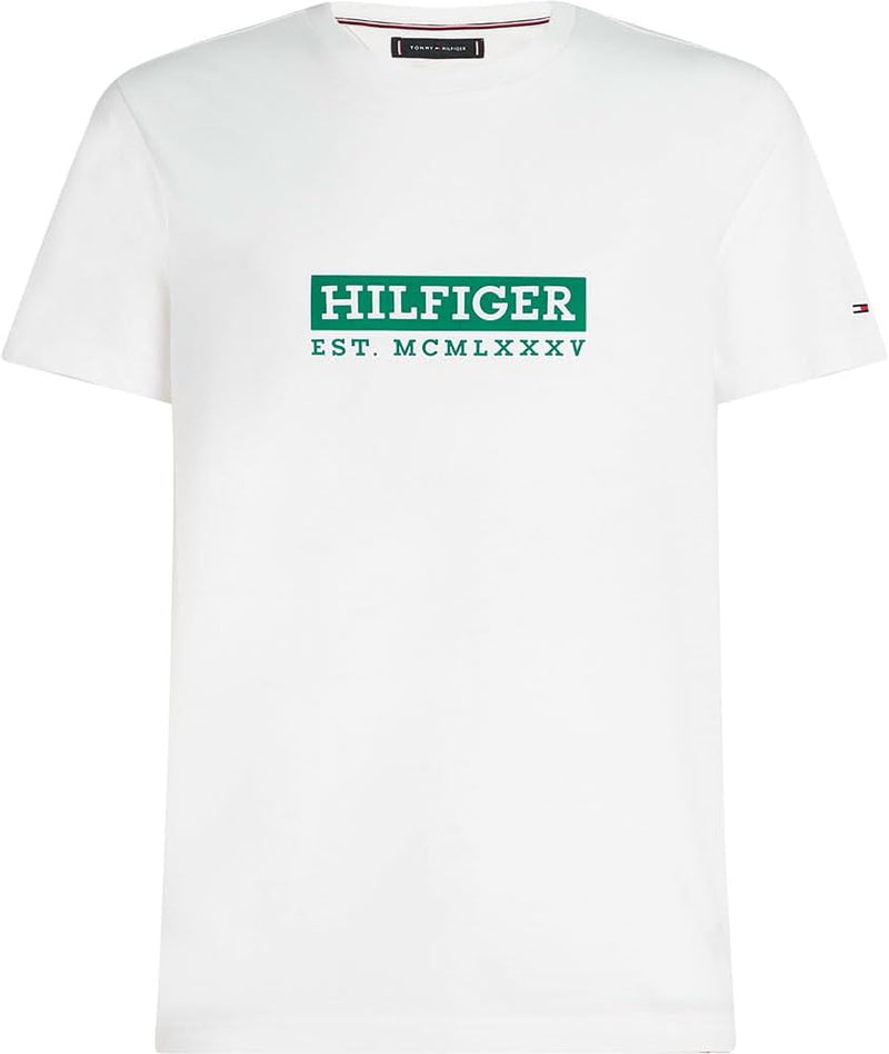 TOMMY HILFIGER mens COLOUR TO COLOUR GRAPHIC TEE S/S T-Shirt