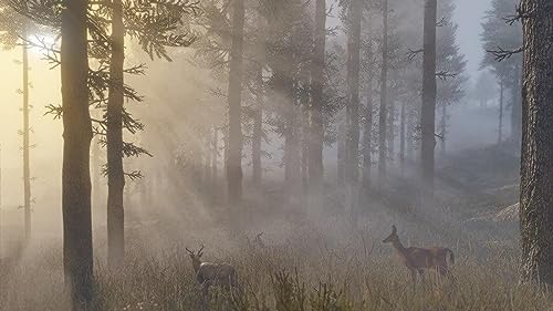 Red Dead Redemption 2 PlayStation 4 by Rockstar