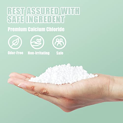 Rness Moisture Absorber Hanging Bag, Moisture Removers, Hanging Closet Dehumidifier Packages, 10 Pack Set