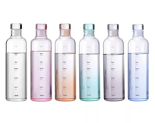 Glass Water bottle (Gray) outdoor sport drink