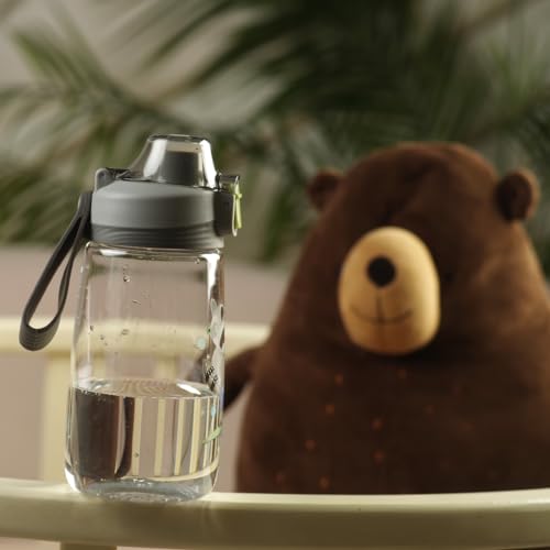Water Bottle 500mL for Kids by Fissman, BFA Free | Non-Toxic | Leak-Proof | Pop-Up Spout Cover | Flip Top Lid | Raccoon Printed, Black.