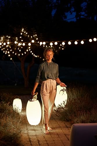 Kooduu Portable Bluetooth speaker, dimmable LED lamp, wine cooler (Synergy 35)