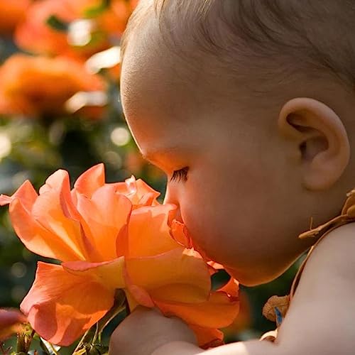 Germacare Baby EAU De Cologne for Newborn, pH Value of 5.5, Organic Edelweiss Extract From the Alps, Alcohol Free, Perfect Combination of Fragrance, 150ml