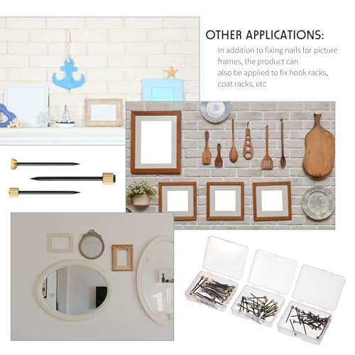 TERRIFI Picture Hanging Nails, Black Steel Nails with Brass Head, 75-Piece Set of Small, Medium, and Large Picture Frame Hangers, Supports 5-30 lbs, Ideal for Home Hardware Use