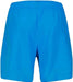 PUMA Men's Swim Men's Mid Shorts Swim Trunks