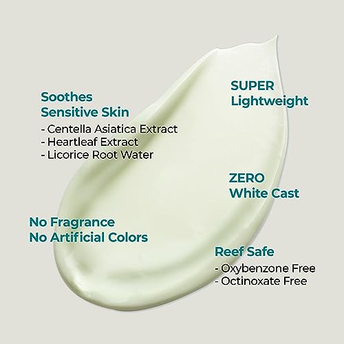 numbuzin No.1 Sunscreen | Clear Filter Sun Essence | No White Cast, Hydrating, Moisturizing, Cools Down, Light Finish | 50ml