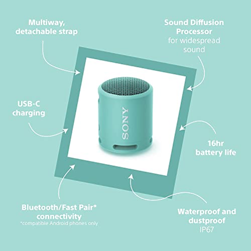 Sony Speaker Inalambrico Blue Brillante