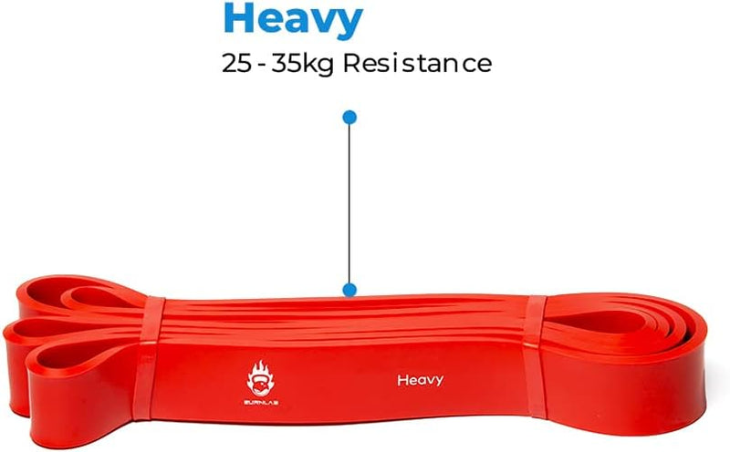 Burnlab Resistance Bands (Choose from 8 Different Sizes from 8Kg - 116Kg), Pull Up Assistance Bands for Exercise, Chin Ups, Powerlifting, Training, Gyms, Home Fitness - for Men and Women