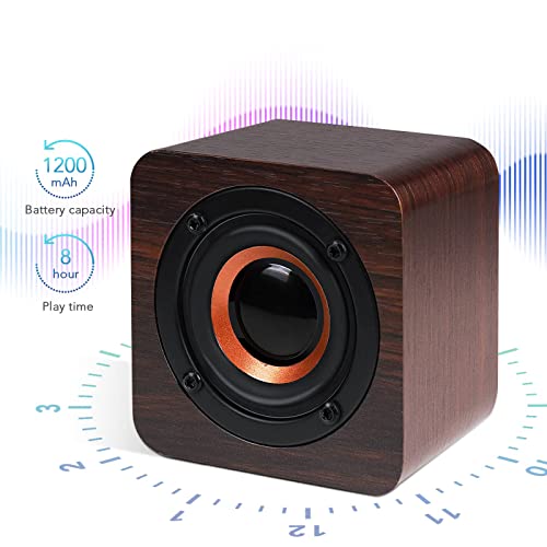 KASTWAVE Bluetooth Speaker Portable, Outdoor Bluetooth Speaker for Smartphone Tablet Laptop Office Beach Camping Travel