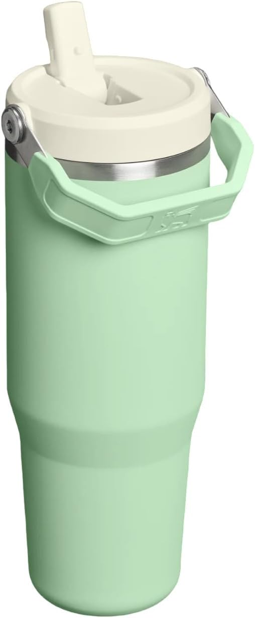 Ice Flow GO 890ml/30oz Flip Straw Wtr Btl Pistachio