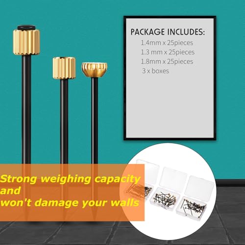 TERRIFI Picture Hanging Nails, Black Steel Nails with Brass Head, 75-Piece Set of Small, Medium, and Large Picture Frame Hangers, Supports 5-30 lbs, Ideal for Home Hardware Use