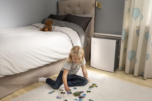 Blueair Classic 205 Air Purifier with Particulate Filter
