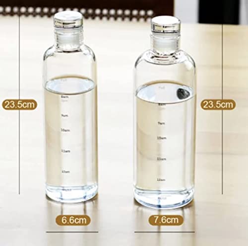 Glass Water bottle (Gray) outdoor sport drink